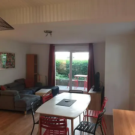 شقة 62 M2 Rez De Jardin, Terrasse , 6 Lits Et Parking آنسي